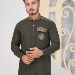 ELEGANT KABLI DESIGN PANJABI CODE-KP05