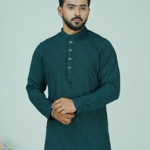 ELEGANT PANJABI CODE-AP01